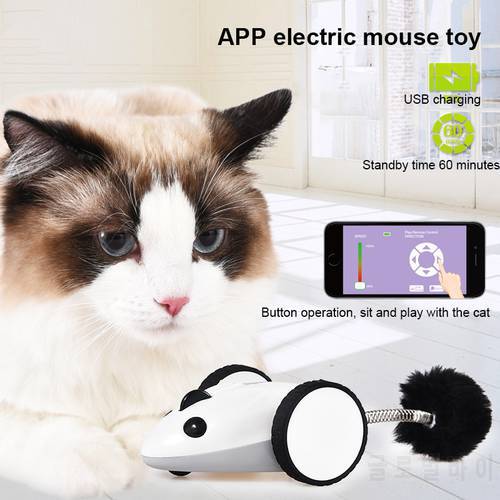 Tumbler Swing Toys For Cats Kitten Interactive Balance Car Cat Chasing Toy With Catnip Funny Pet Products For Dropshipping