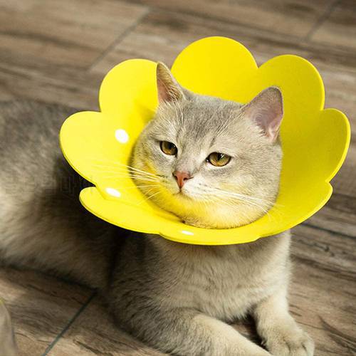 2/5/10pcs Pet Elizabeth Circle Collar Cat Wound Healing Medical Anti Bite Sun Flower Saliva Towel Felt Cloth Cat Collar