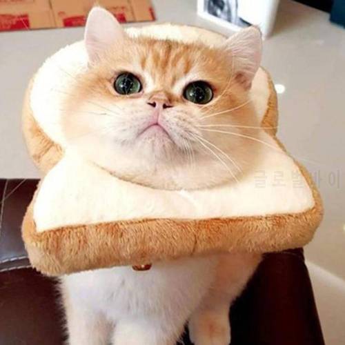 Pet Dog Cats Puppy Cartoon Soft Toast Bread Shape Collar Scarf Headgear Props