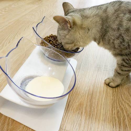 Non-slip Double Cat Bowl Cervical Spine Protection Bowl For Cats Kitten Food Bowls For Dogs Puppies Feeder Pet Products