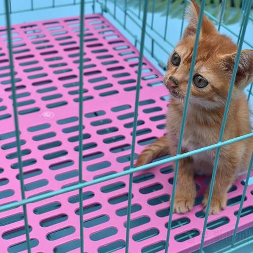 Pet Plastic Wear-resistant Cage Mat cat dog Accessories Grids Holes Small Animal Anti-slip Cushion Feet Pads Easy Cleaning