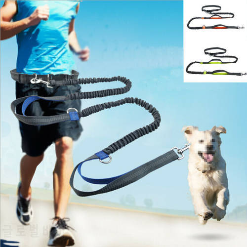 Dog Leash Adjustable Running Jogging Sport Elastic Belt Traction Rope with Reflective Strip Pet Dog Collar Harness Supplies