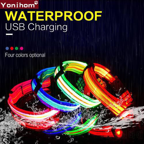 LED Dog Collar USB Rechargeable Dog Collar Electronic Waterproof Night Safety Collar Perro led Glowing Luminous Collars for Pets