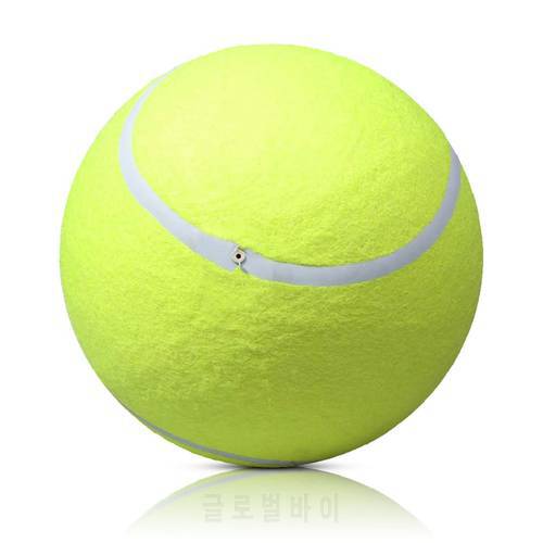 Pet Training Ball Toy Dog Interative Toy Fun Tennis Ball Cat Teaser Toy for Dogs Puppy Indoor Outdoor Training