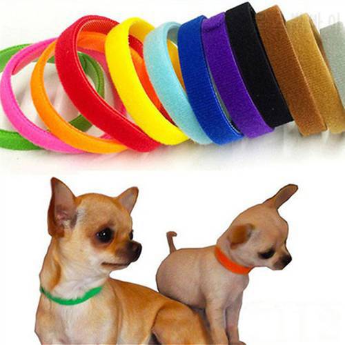 2019 12pcs 20/35CM Whelping Puppy Kitten ID Collars Bands Adjustable Identity Recognition Collar for Pet Dog Cat Product 72992