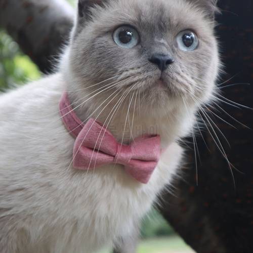 Gentle Velvet Cat Collar Solid Color Bowknot Puppy Necklace With Bell Adjustable Safety Buckle Cats Bow Tie Pets Accessories