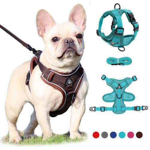 Puppy Dog Harness Vest and Leash Set Adjust Nylon Cat Harness Reflective Breathable Mesh Pet Chest Straps for Small Medium Dogs