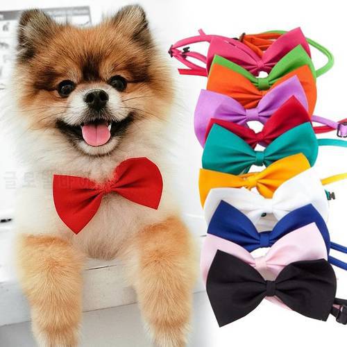 Pet Dog Cat Necklace Adjustable Strap Fashion Butterfly Party Wedding Bow Tie Candy Solid Color Bowknot Wholesale Accessories