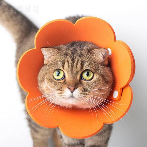 Fashion Protective Lightweight Collar Flower Design Anti-lick EVA Durable Cat Protective Elizabeth Collar For Indoor/Sleeping