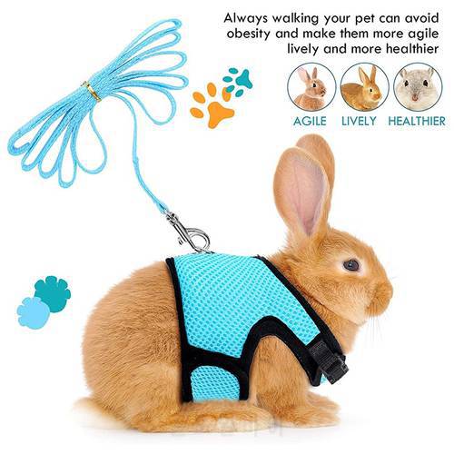 Pet Mesh Harness With Leash Small Animal Harness Vest Lead for Hamster Rabbit Guinea Pig Small Animal Accessories Pet Lead Set