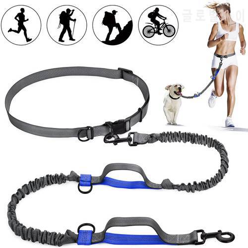 2022 New Reflective Leash Traction Rope Pet Dog Running Belt Elastic Hands Freely Jogging Pull Dog Leash Metal D-ring Leashes