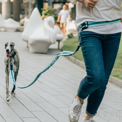 Adjustable Reflective Leash Traction Rope Pet Dog Running Belt Elastic Hands Freely Jogging Pull Dog Collar Metal D-ring Leashes