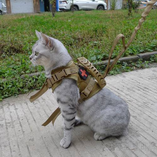 Cat Tactical Chest Harness Cat Tactical Vest Cat Leads Cat Accessories Vest-style Small Dog Harness Dog Leash Dog Accessories