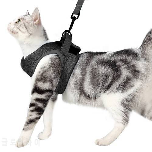 Cat Adjustable Chest Strap Cat Harness Escape Proof Small Cat Dog Vest Harness With Strap Soft Mesh Walking Jacket for Kitten