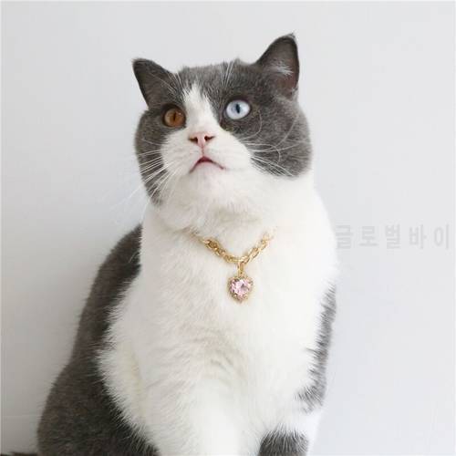 S-L Heart Rhinestone Pendant Pet Collar Holiday Party Decorate Collars For Pets Gold Color Chain Cats Puppy Supplies Accessories