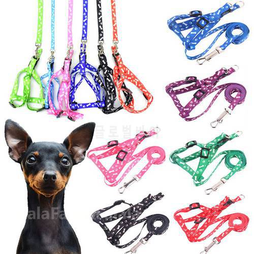Small Dog Cat Harness Leash Adjustable Vest Collar Puppy Outdoor Walking Chihuahua Terier Schnauzer