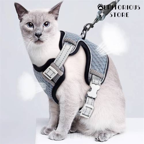 Mesh Cat Harness For Dogs Adjustable Reflective Dog Cat Vest Harness and Leash Set Breathable Cat Harnesses Walking Lead