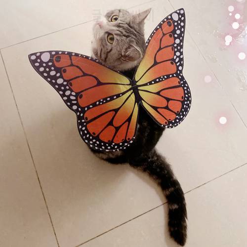 Butterfly Wings Halloween Cat Costume Cat Clothes Pet Clothings Also Suitable For Small Dogs