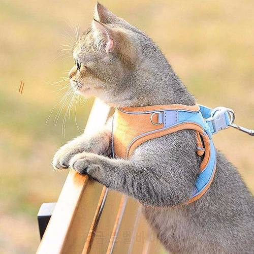 Cat Harness And Leash Set Fashion Reflective Vest Pet Harnesses Outdoor Walking Small Cats Dogs Printed Harness Cat Collar Leash