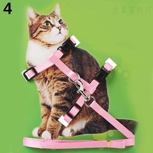 Cat Leash Adjustable Nylon Cat Puppy Pet Harness Collar Lead Leash Traction Safety Rope Cat Leash