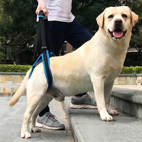 Dog Lift Harness for Back Legs Pet Support Sling Help Weak Legs Stand Up Pet Old Dogs Leash Aid Assist Tool S-XL*