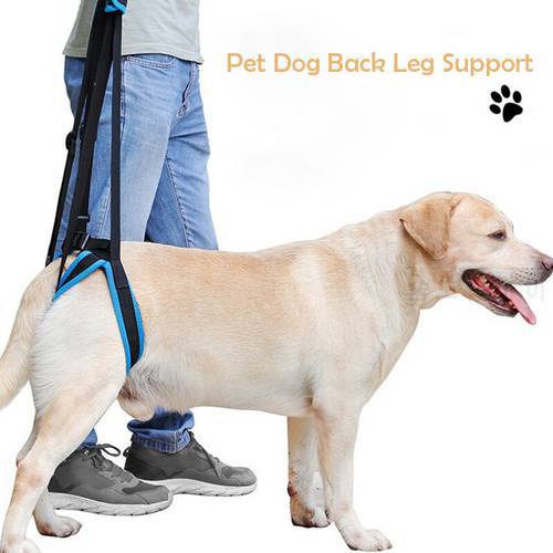 Pet Dog Back Leg Support Help Weak Legs Stand Up Adjustable Dog Lift Harness Pet Dogs Aid Assist Tool Dog Carriers Supplies New