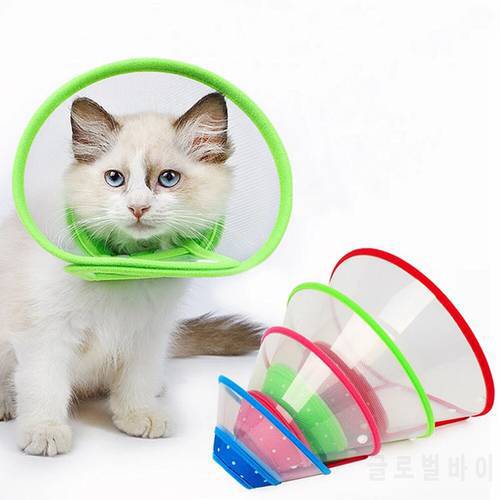 Pets Cone E-Collar for Cats Small Dogs Adjustable Lightweight Elizabethan Collar for Puppies Kitten Protective Recovery Collar