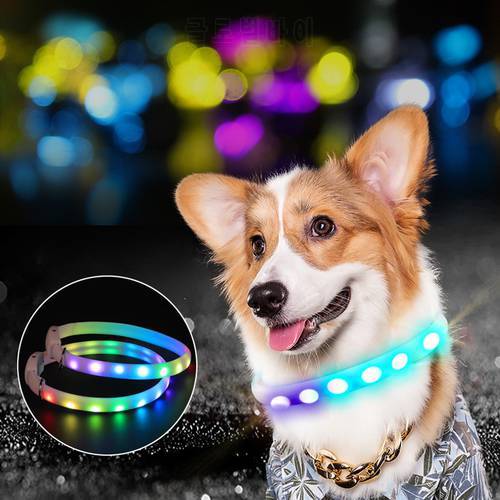USB Rechargeable Pet Dog LED Glowing Collar Pet Luminous Flashing Necklace Outdoor Walking Dog Night Safety Collar Adjustable