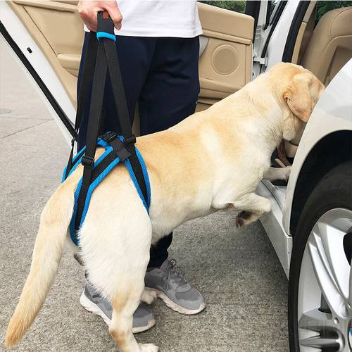 Adjustable Pet Dog Sling Lift Harness Leg Brace Hind Leg Help Walking Dogs Pets Balance Harness Auxiliary Belt Strap for Dogs