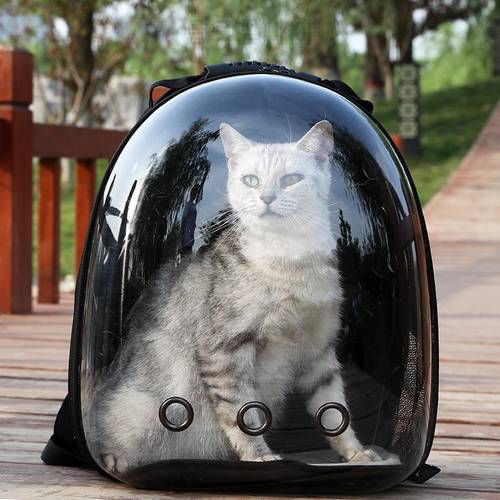 Package Pet Cat Capsule Breathable Backpack Going Out Ddroshipping Portable Transparent Cat Products 2021 NEW FULLLOVE