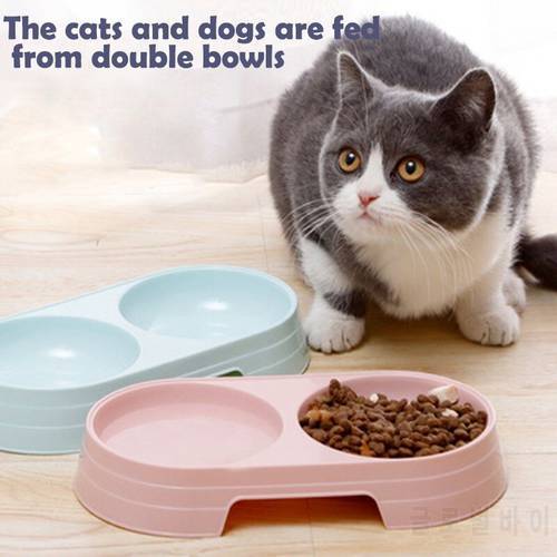 Pet Duble Bowl Kitten Food Water Feefer PP Material Cat Food Dispenser for Indoor Small Animal Supplies Products Feeding Bowls