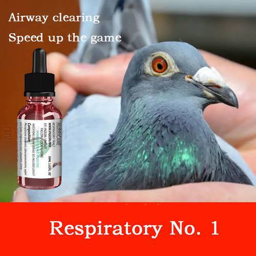Respiratory tract No. 1 racing pigeon removes mucus in the respiratory tract, breathes the nose and speeds up the race