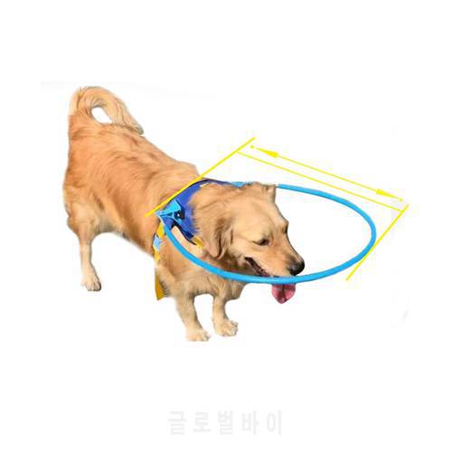 Pet Safe Halo Harness For Blind Dogs Scorpion Cataract Animal Protection Circle Guide Dog Harness Blind Pet Anti-collision Ring