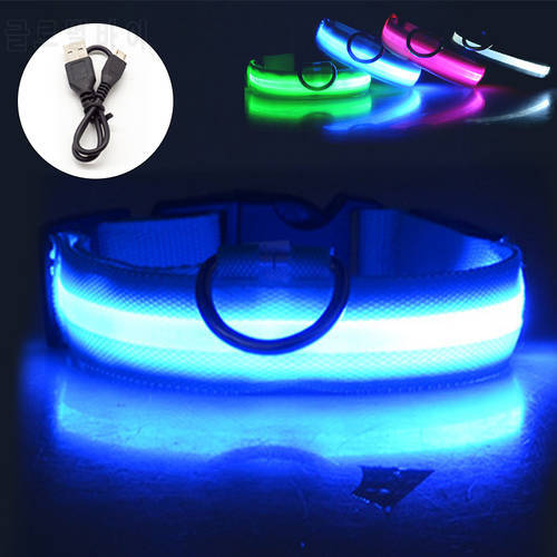 Dog Collar Leash Supplies Cat Collar USB Charging Chien Anti-Lost/Avoid Car Accident Luminoso Safety Button Battery LED Stuff