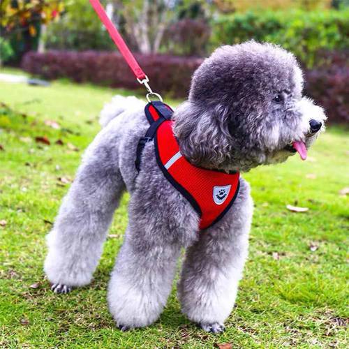Dogs Puppy Harness Collar Cat Dog Adjustable Vest Walking Lead Leash Soft Breathable Polyester Mesh Harness For Small Medium Pet