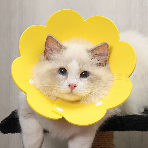 EPet Elizabeth Ring Dog Cat Sun Flower Snap Collar Anti-lick Wound Neck Sterilization Pet Protection Ring Silicone Cat Collar