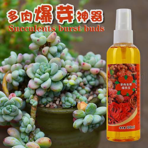 Succulents rooting, bursting buds, color enhancement, nutrient solution splitting and rooting 120ml