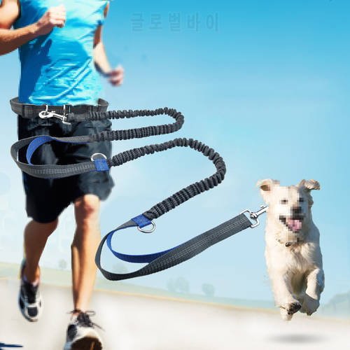 Elastic Running Dog Leash Reflective Leashes Dog Accessories Leash For Dogs Supplies Traction Rope Chiens Perros Pet Supplies