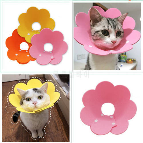 Free Shipping Flower Shaped Cat Recovery Collar Elizabethan Collar Wound Healing Protective Cone for Kitten Puppy Anti-Bite