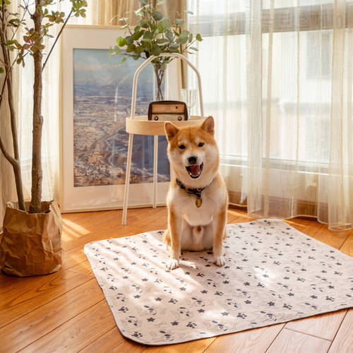 Dog Pad Reusable Pet Urine Pad Washable Dog Cat Diaper Mat 3 Layer Absorbent Dogs Diapers Pads Bone Paw Print for Sofa Bed Floor