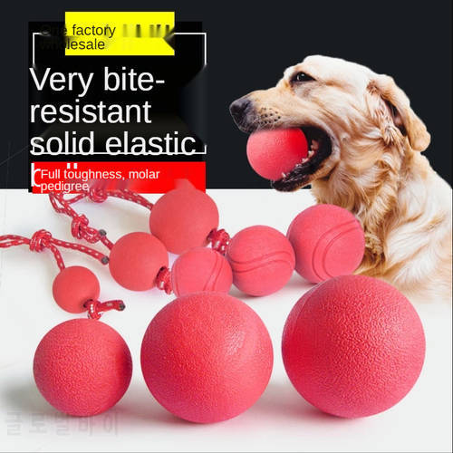 Dog Training Bite Bite- Resistant Ball Wearing Rope Pet Toy Elastic Rubber Solid Squeak Cn(Origin)
