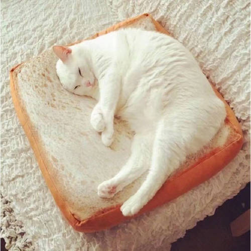 Bread Cat Beds Soft Pet Sleeping Cushion Mat for Dog Cat House Kennel Mattress Creative Puppy Kitten Nest Pads Pet Accessories