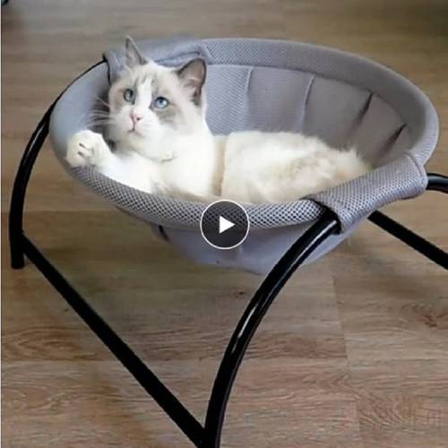 Luxury Pet Cat Hanging Bed House Round Soft Cat Hammock Cozy Rocking Chair Detachable Pet Bed Cradle House Bearing 20kg