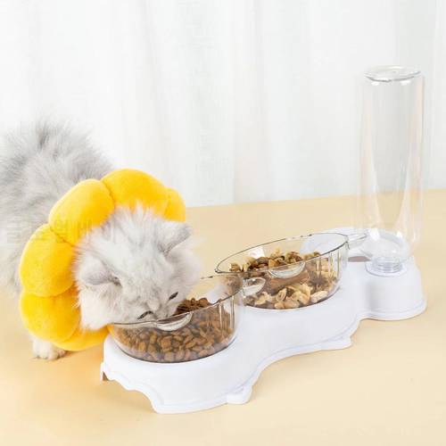 Bowl For Cat 3-in-1 Bowls And Drinkers Auto Feeders For Cats Feed And Bowls Storage Double Bowl Drinking Raised Stand Dish