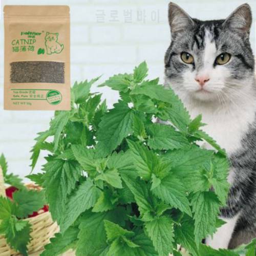 1PC Organic 100% Natural Cat Catnip Cattle Grass 10g Cat Mint Leaves Menthol Flavor Funny Cat Treats Toys Cats Supplies New