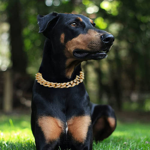 Rhinestone Dog Collar Luxury Dog CollarPet Dog Mass Rap Hip Hop Cuban Chain Big Gold Chain Pechera Para Perro Dog Supplies