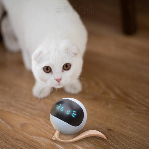 Interactive Electronic Self Rotating Roll Ball with Color-changing Light Smart Cat Toy Pet Cat Toy Automatic USB Ball for Cat