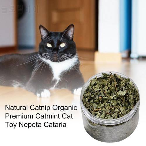 Natural Catnip Organic Premium Catmint Cat Toy Nepeta Cataria Protect Cat Stomach Vitamin Supplement Safe Healthy Clean Teeth