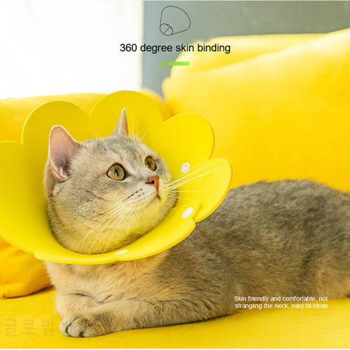 Sunflower Pet Protective Collars For Dogs Cats Wound Healing Protection Elizabethan Collar Pet Cat Anti-bite Recovery Circle