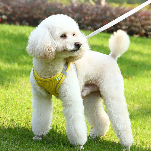 Dog Harness Vest with Leash For Small Dogs Adjustable Pet Chest Strap Dog Cat Collars Outdoor Walking Lead Leashes XXS-L Harness